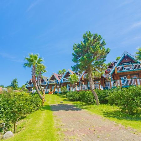 Jungmun Log Pension & Resort Согвипхо Экстерьер фото