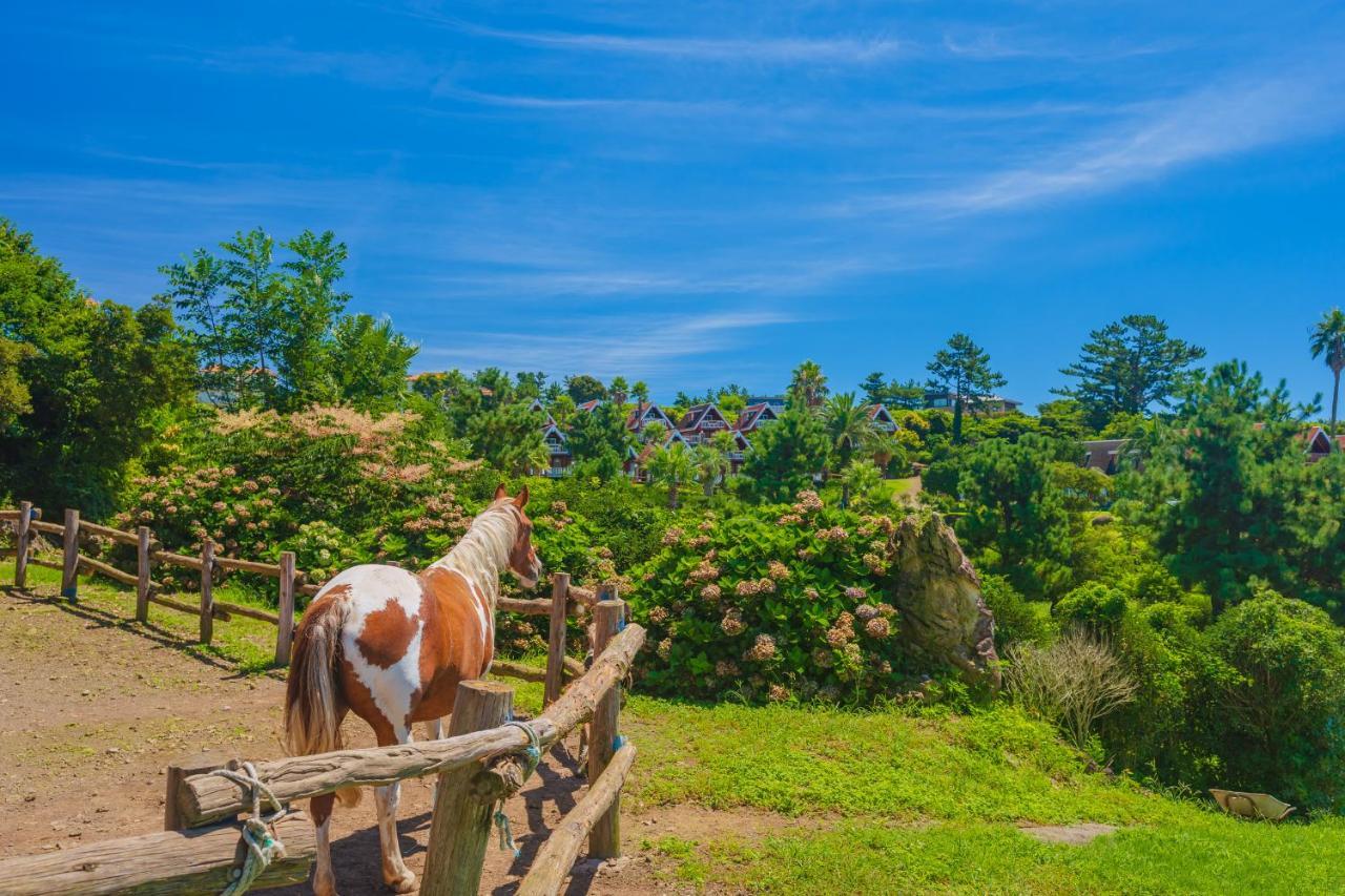 Jungmun Log Pension & Resort Согвипхо Экстерьер фото