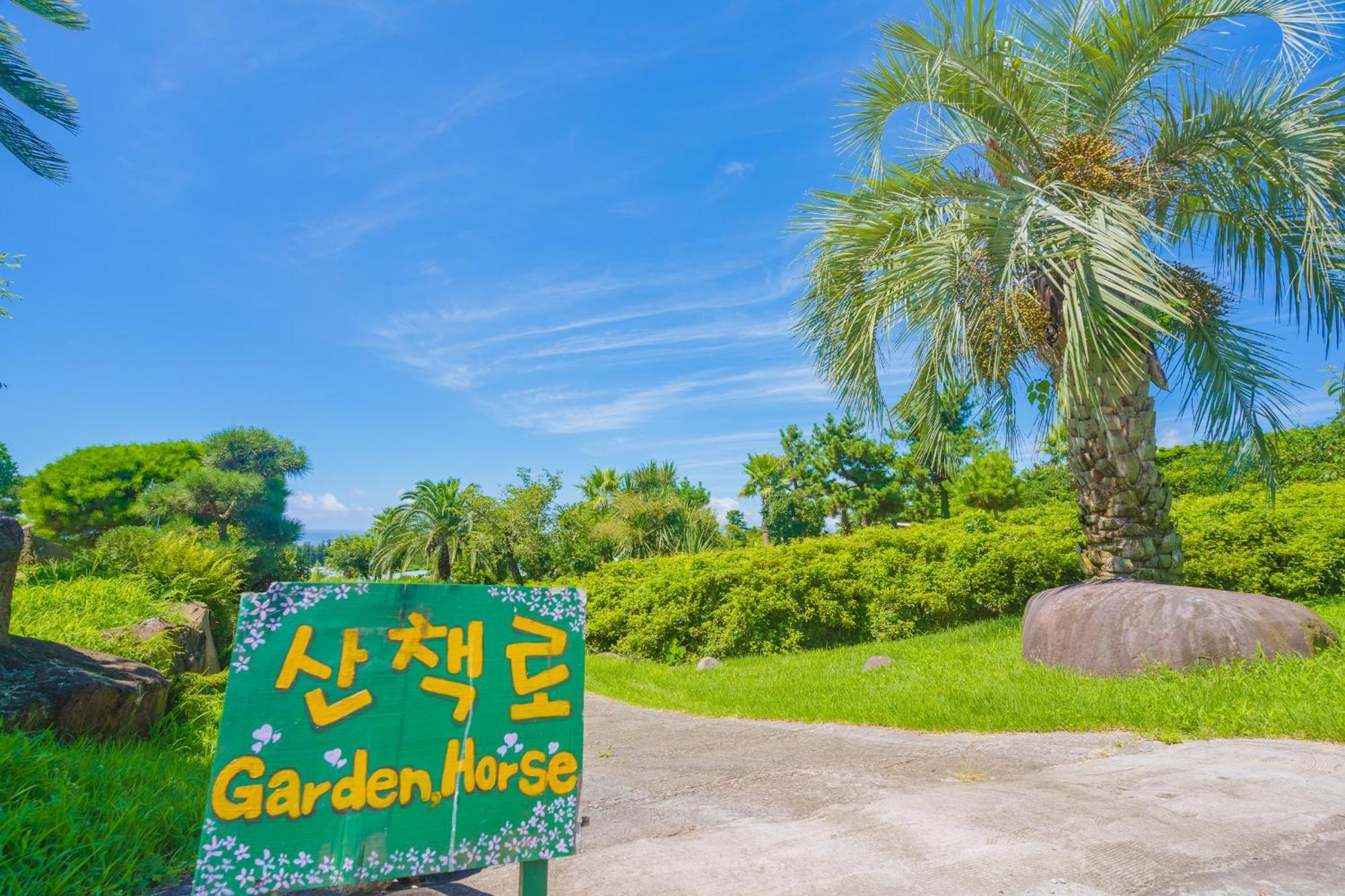 Jungmun Log Pension & Resort Согвипхо Экстерьер фото