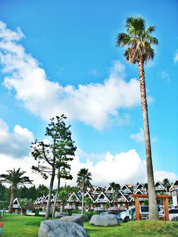Jungmun Log Pension & Resort Согвипхо Экстерьер фото