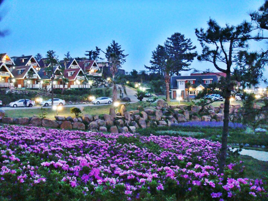 Jungmun Log Pension & Resort Согвипхо Экстерьер фото