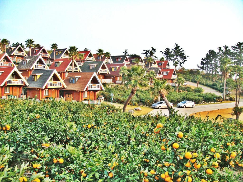 Jungmun Log Pension & Resort Согвипхо Экстерьер фото