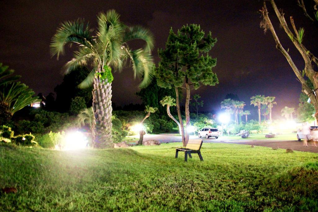 Jungmun Log Pension & Resort Согвипхо Экстерьер фото