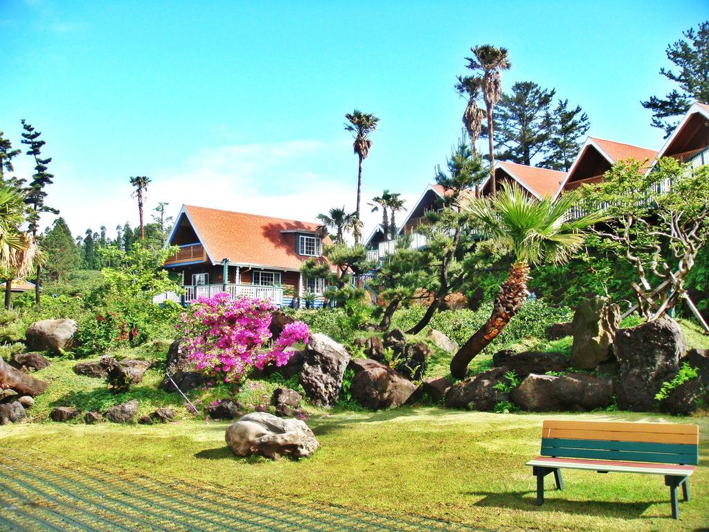 Jungmun Log Pension & Resort Согвипхо Экстерьер фото