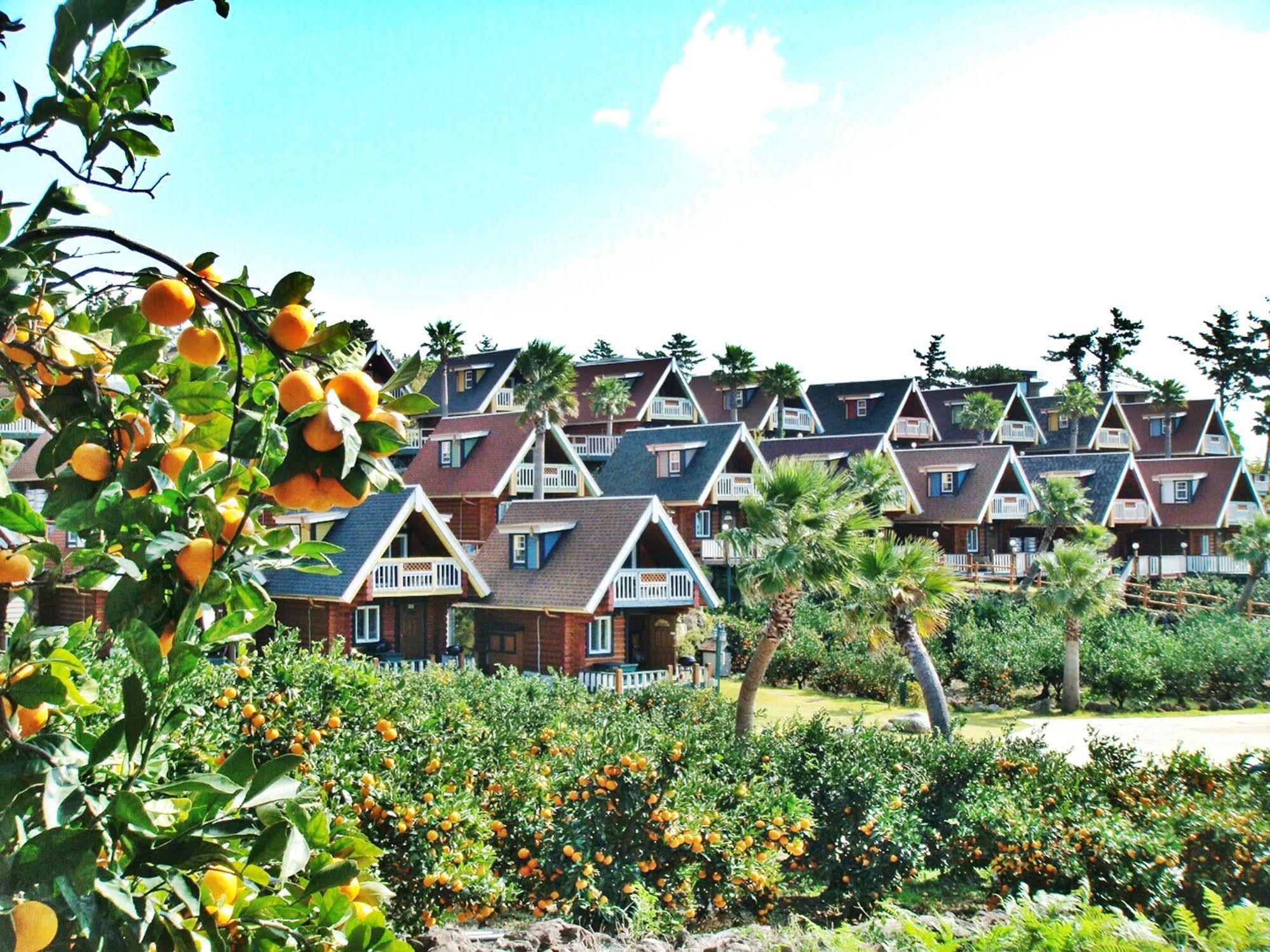 Jungmun Log Pension & Resort Согвипхо Экстерьер фото